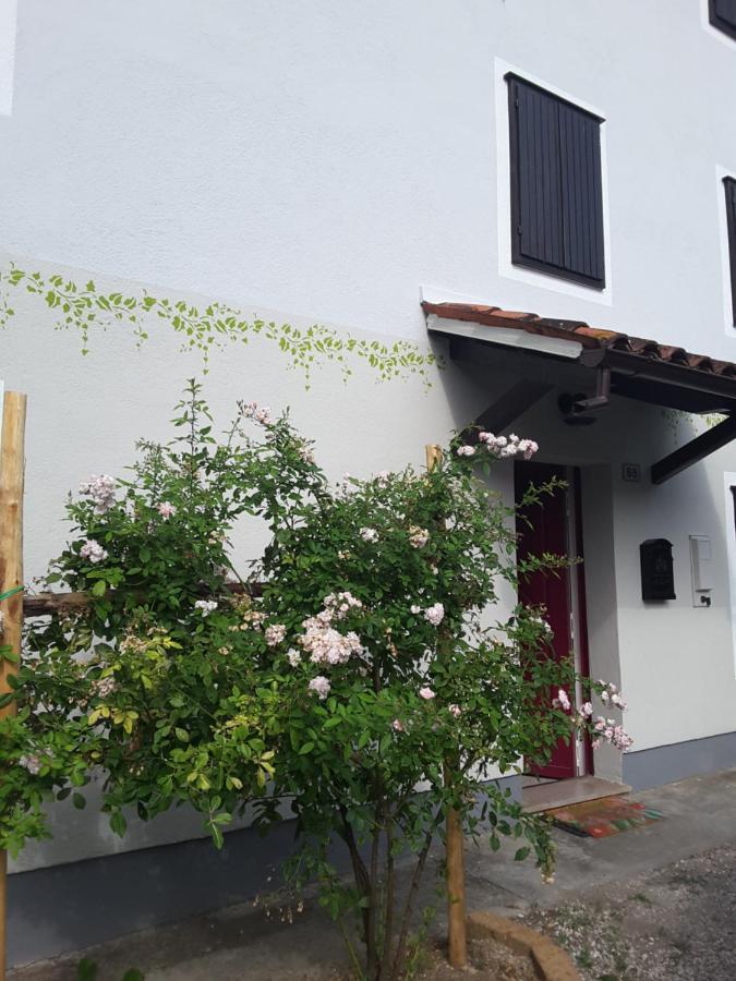 Le Giuggiole 5 Posti Letto In Una Casa Ricca D'Atmosfera Farra d'lsonzo 外观 照片